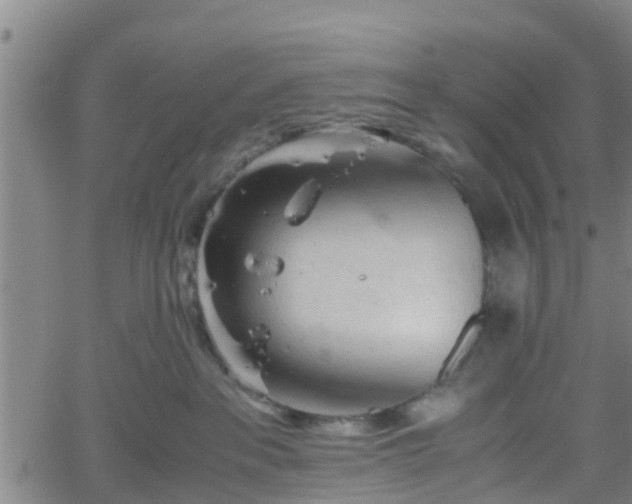 X0000062170237200512161259