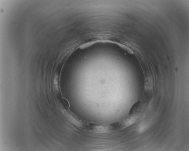 X0000062170238200512161259