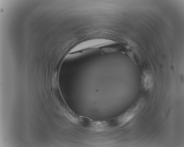 X0000062170239200512161259