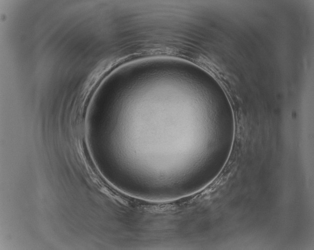 X0000062170241200512161258