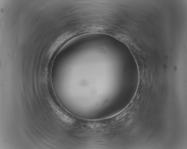 X0000062170242200512161258