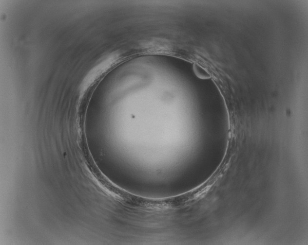 X0000062170245200512161258