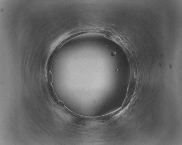 X0000062170246200512161258