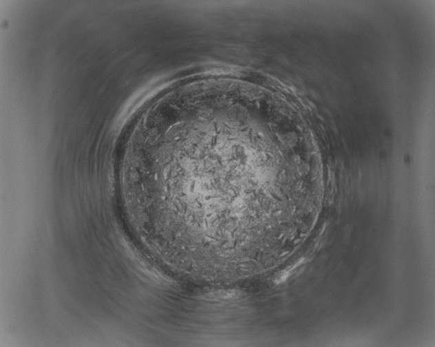 X0000062170247200512161258