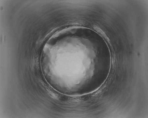 X0000062170249200512161258