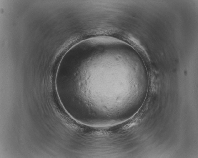 X0000062170250200512161258