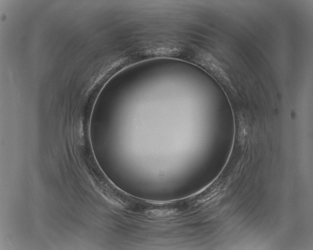 X0000062170251200512161258