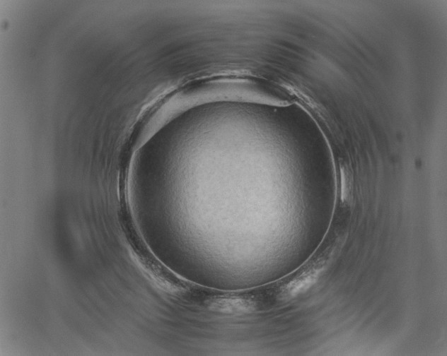 X0000062170253200512161258