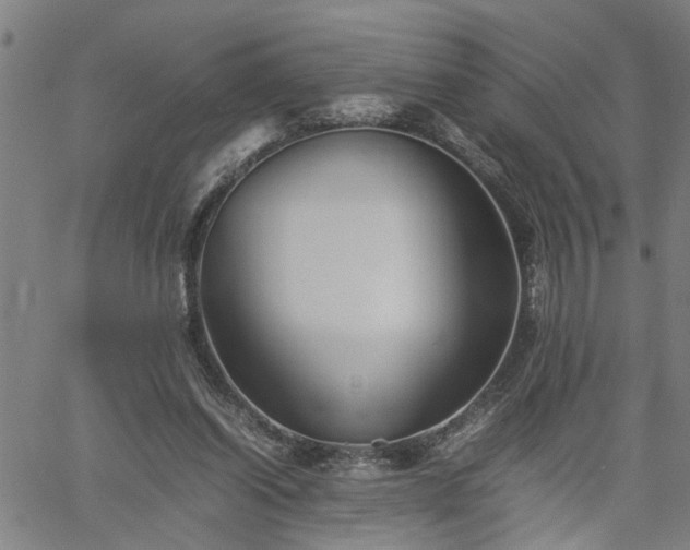 X0000062170254200512161258