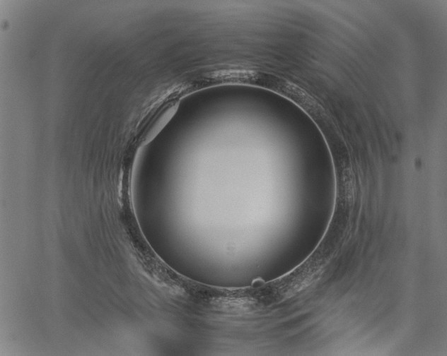 X0000062170255200512161258