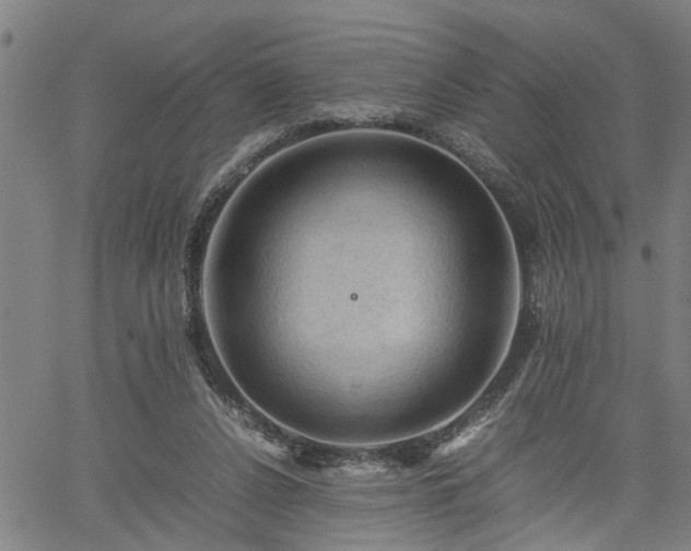 X0000062170256200512161258