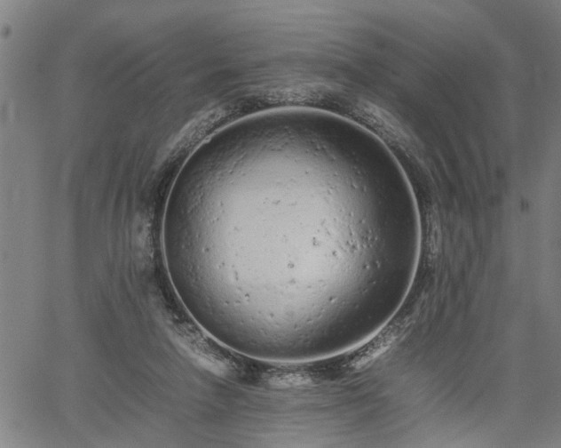 X0000062170258200512161258