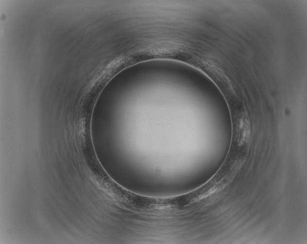 X0000062170260200512161258