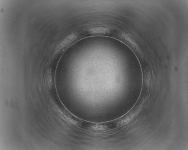 X0000062170261200512161258