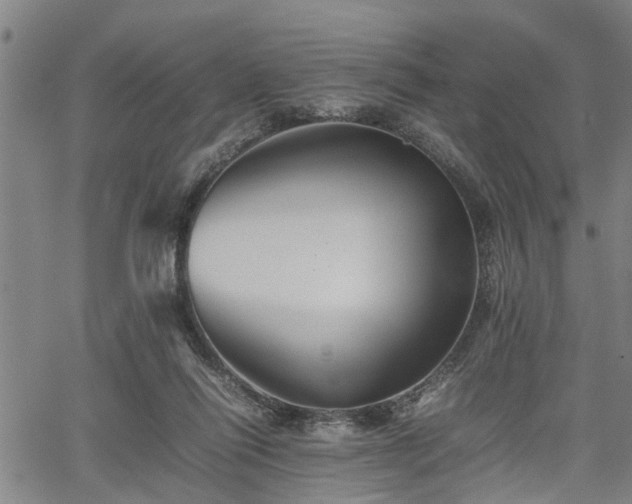 X0000062170262200512161258