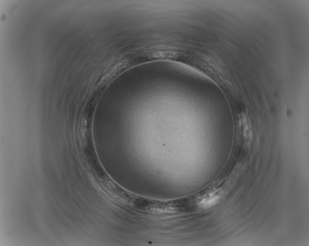 X0000062170263200512161258