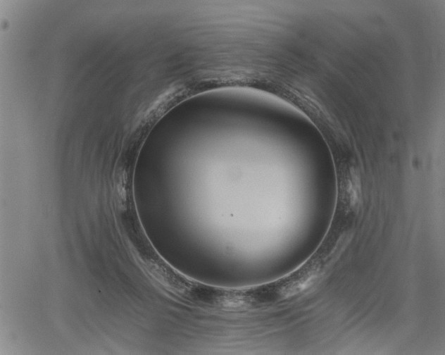 X0000062170264200512161258