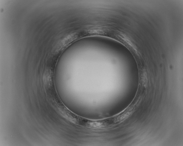 X0000062170265200512161258