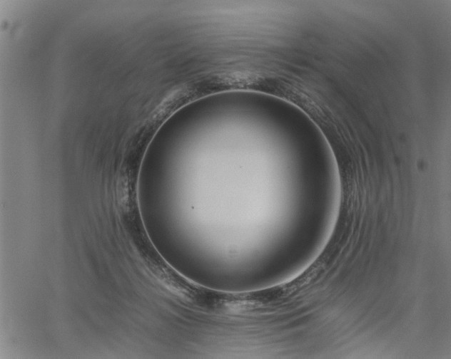 X0000062170268200512161258