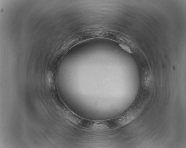 X0000062170270200512161258