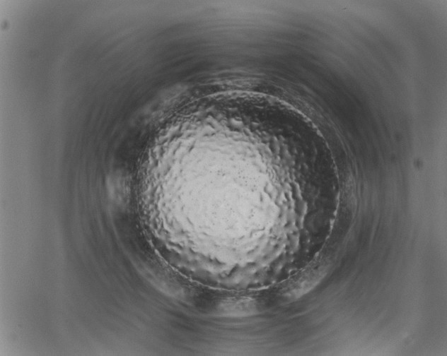 X0000062170271200512161258