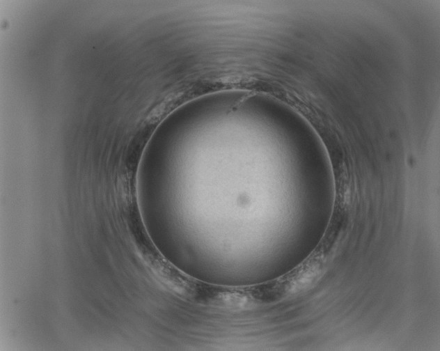 X0000062170272200512161258