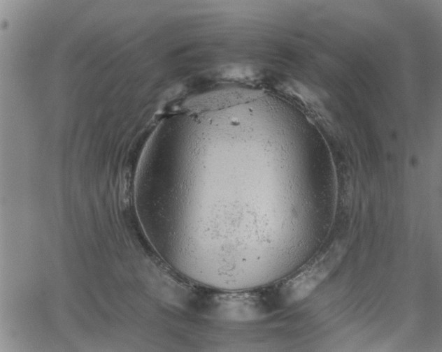 X0000062170273200512161259