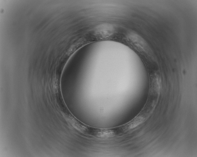 X0000062170274200512161259