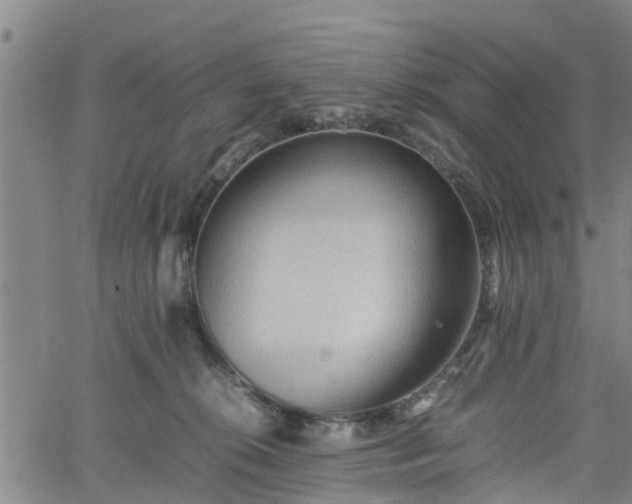 X0000062170276200512161259