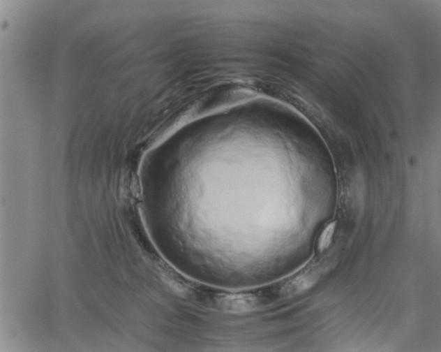 X0000062170277200512161259