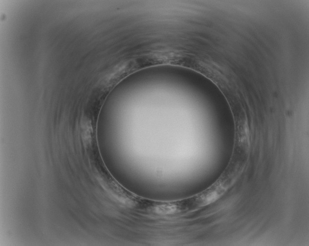 X0000062170279200512161259