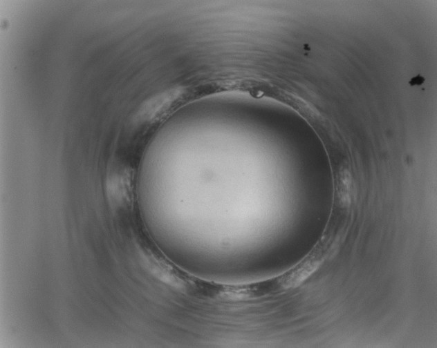 X0000062170280200512161259