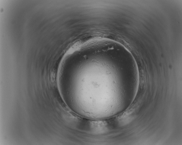 X0000062170281200512161259