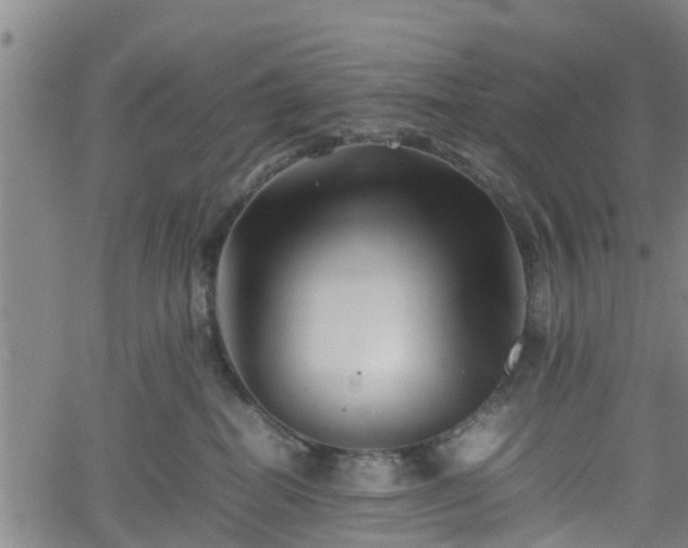 X0000062170282200512161259