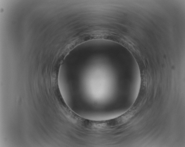 X0000062170283200512161259