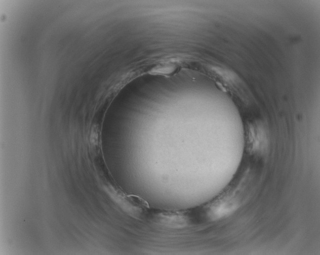 X0000062170284200512161259