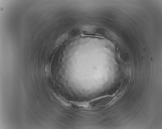 X0000062170285200512161259