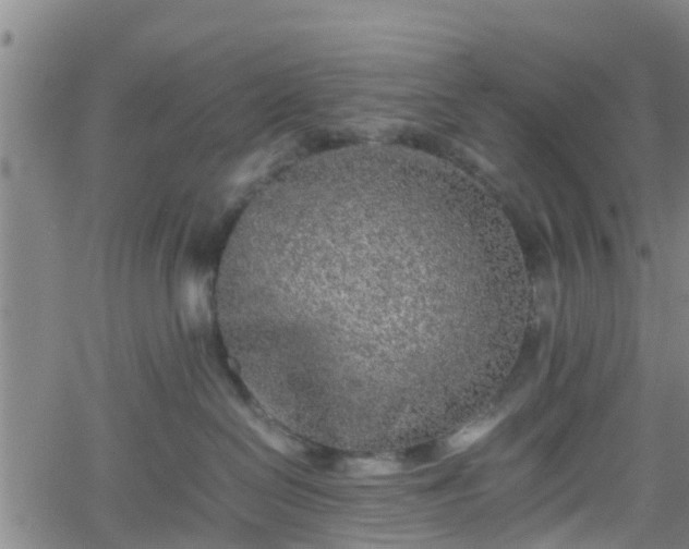 X0000062170286200512161259