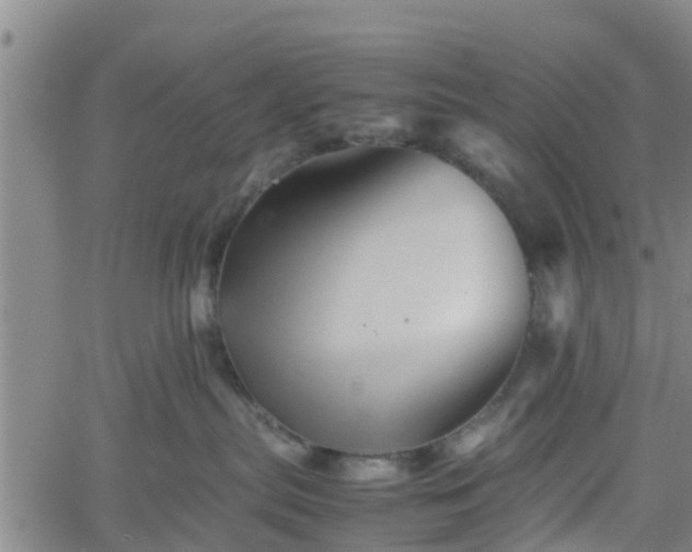 X0000062170287200512161259