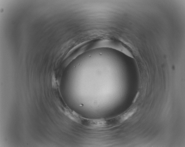 X0000062170288200512161259