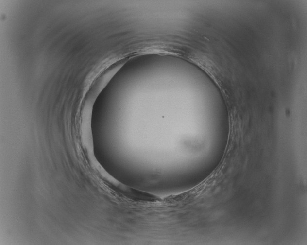 X0000062170289200512161258