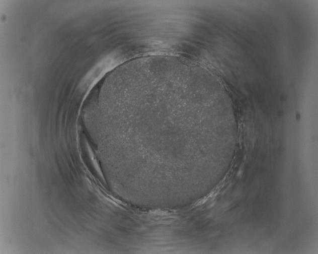 X0000062170290200512161258