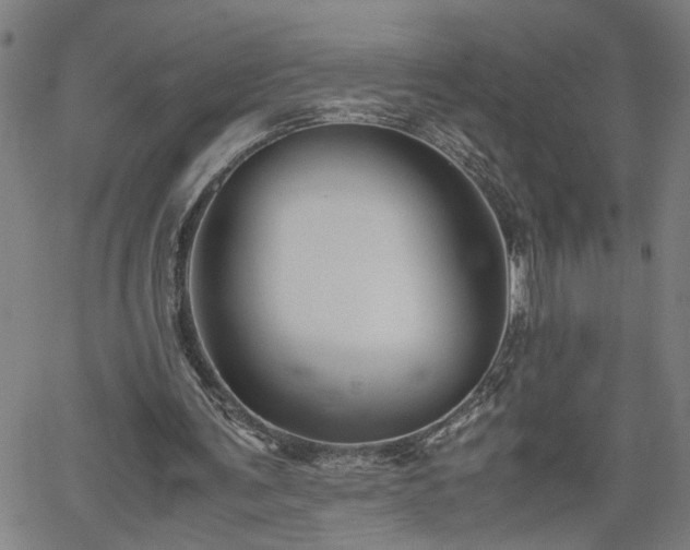 X0000062170291200512161258