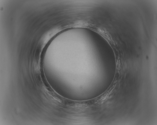 X0000062170292200512161258