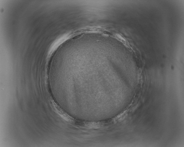 X0000062170293200512161258