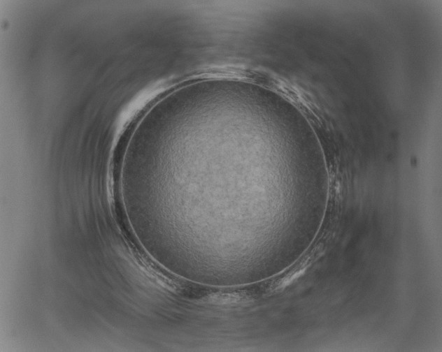 X0000062170294200512161258