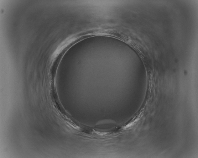 X0000062170295200512161258