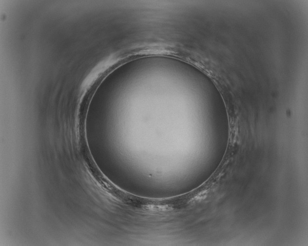 X0000062170296200512161258