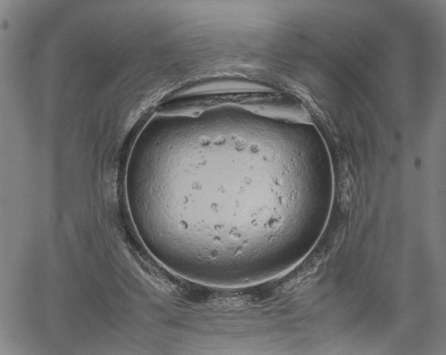 X0000062170299200512161258