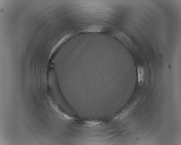 X0000062170300200512161258